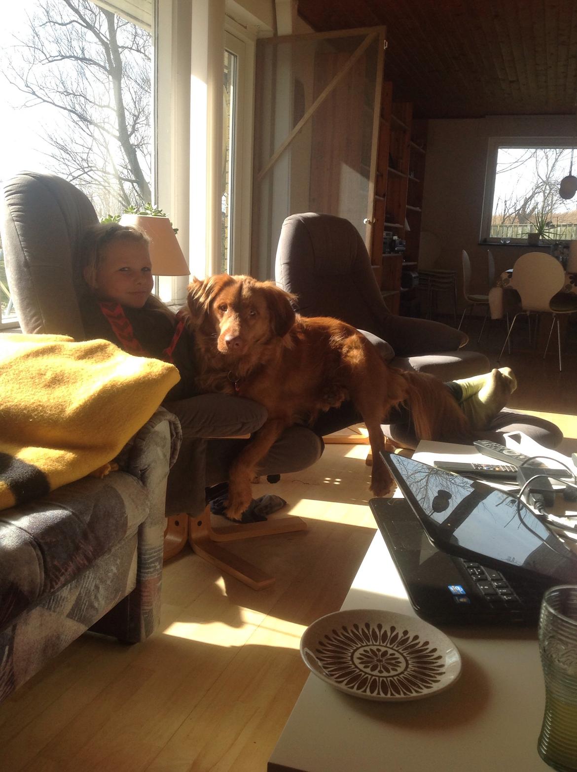 Blanding af racer Jacki billede 10