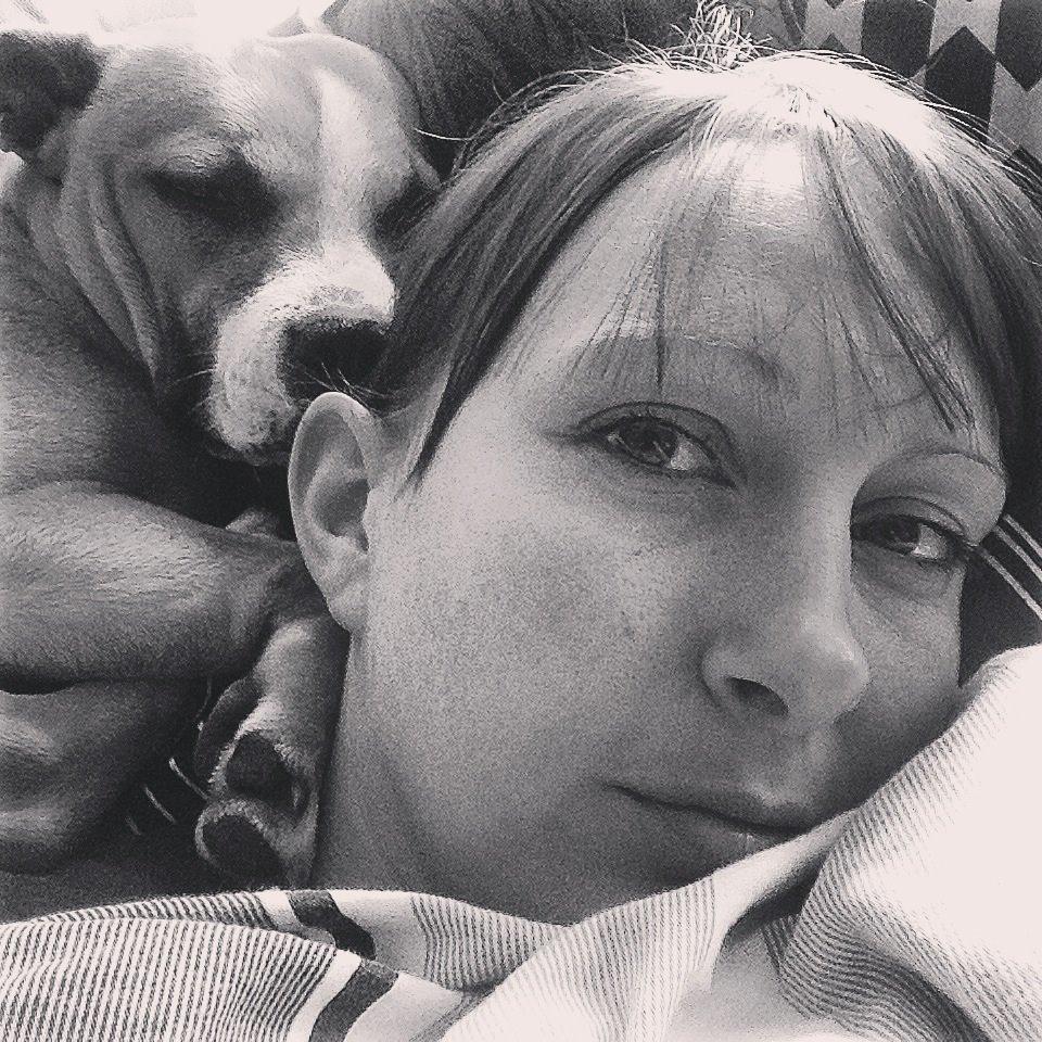 Staffordshire bull terrier Wenk Staff's In My Heart  (Gaby) billede 16