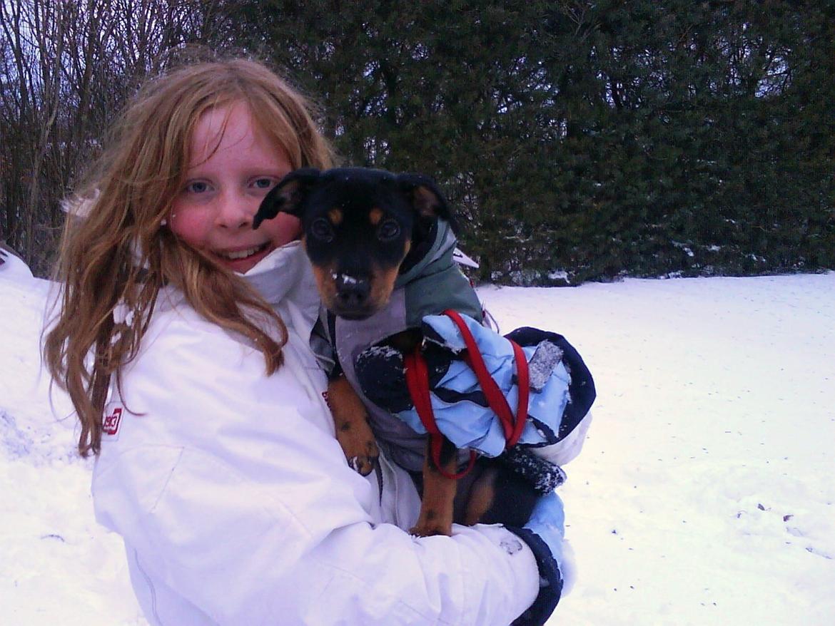 Blanding af racer Yankie - Mig og Yankie i sneen da hun var hvalp. :-) billede 9