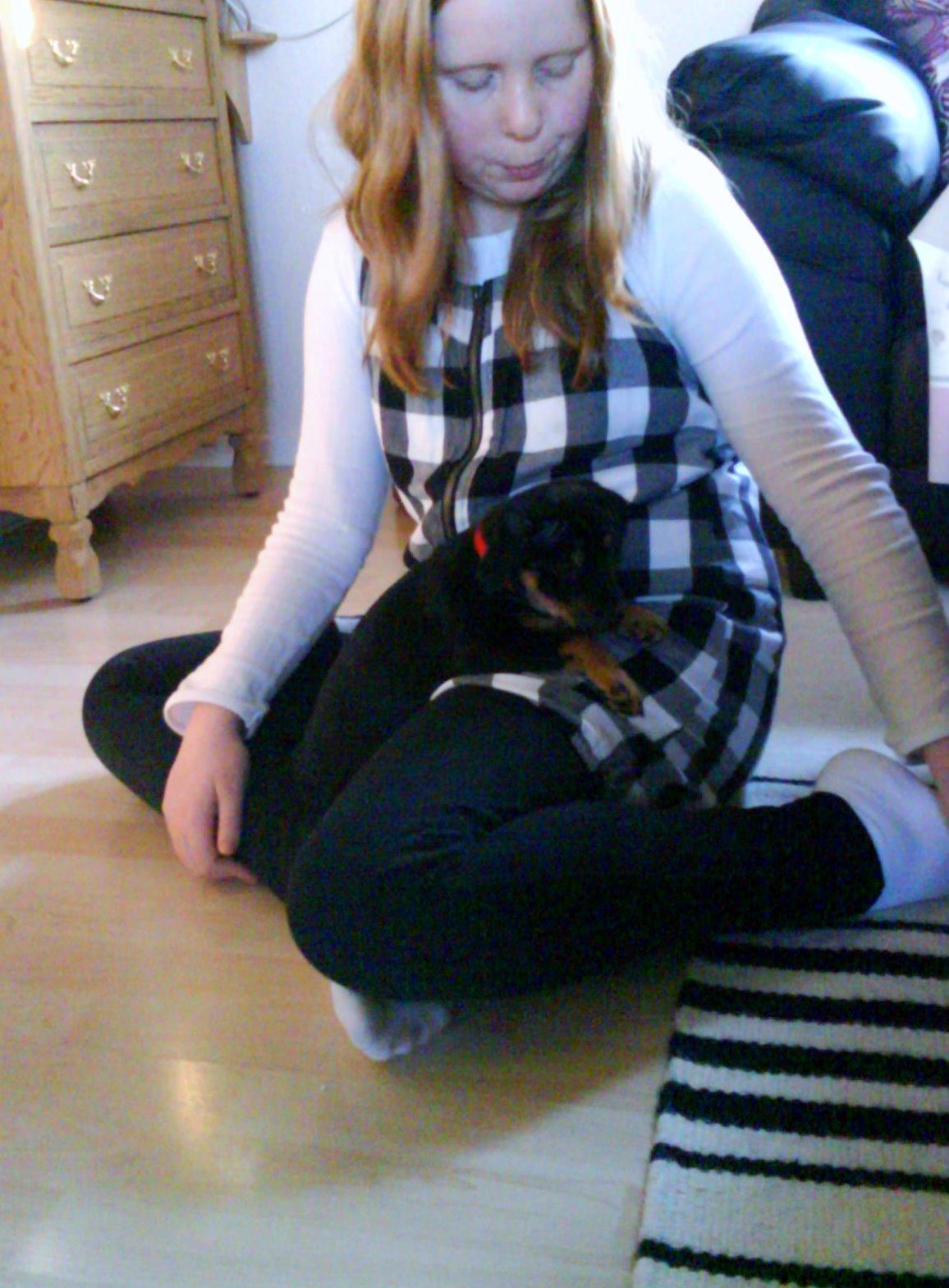 Blanding af racer Yankie - Da min prinsesse kom hjem til os. <3 billede 19