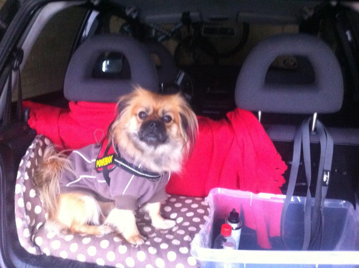 Blanding af racer Jackline R.I.P D.19/7-13 billede 19