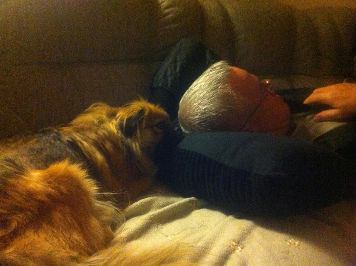 Blanding af racer Jackline R.I.P D.19/7-13 billede 36