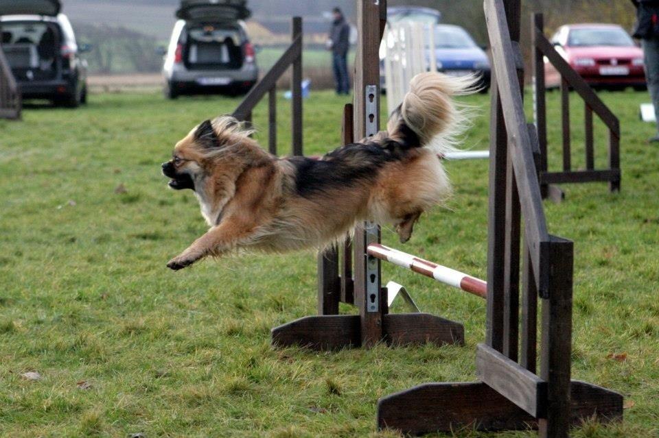 Blanding af racer Jackline R.I.P D.19/7-13 billede 14