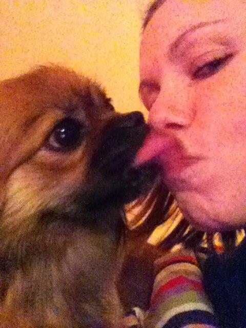 Blanding af racer Jackline R.I.P D.19/7-13 billede 39