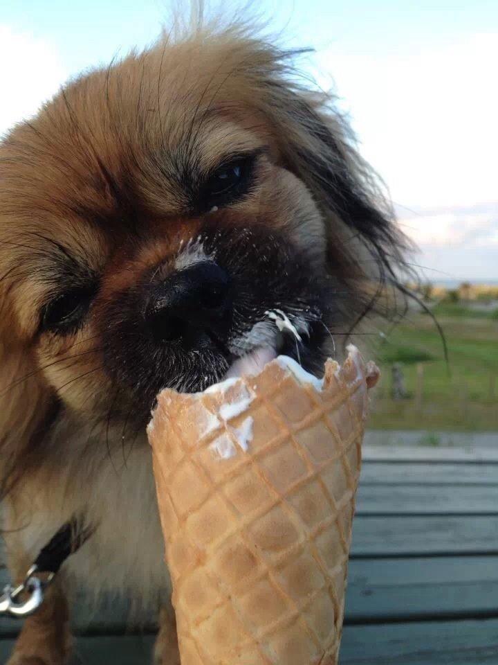 Blanding af racer Jackline R.I.P D.19/7-13 billede 21