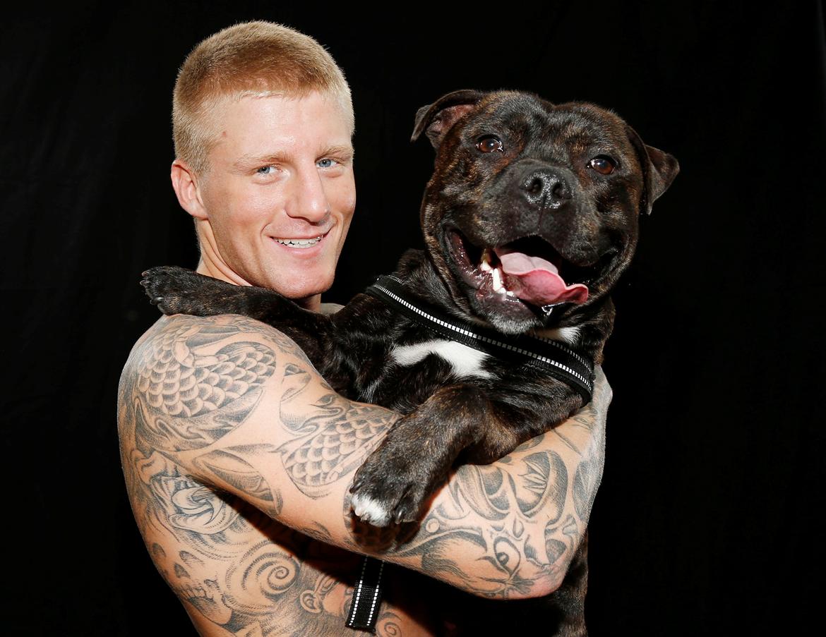 Staffordshire bull terrier Zeus billede 1