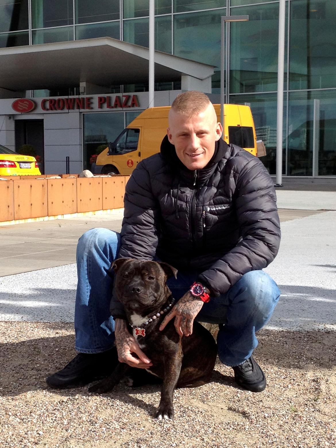 Staffordshire bull terrier Zeus billede 15