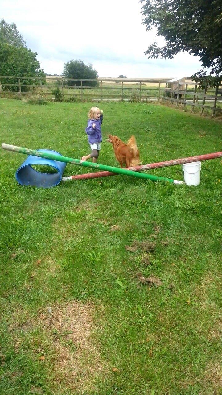 Blanding af racer Jacki billede 16