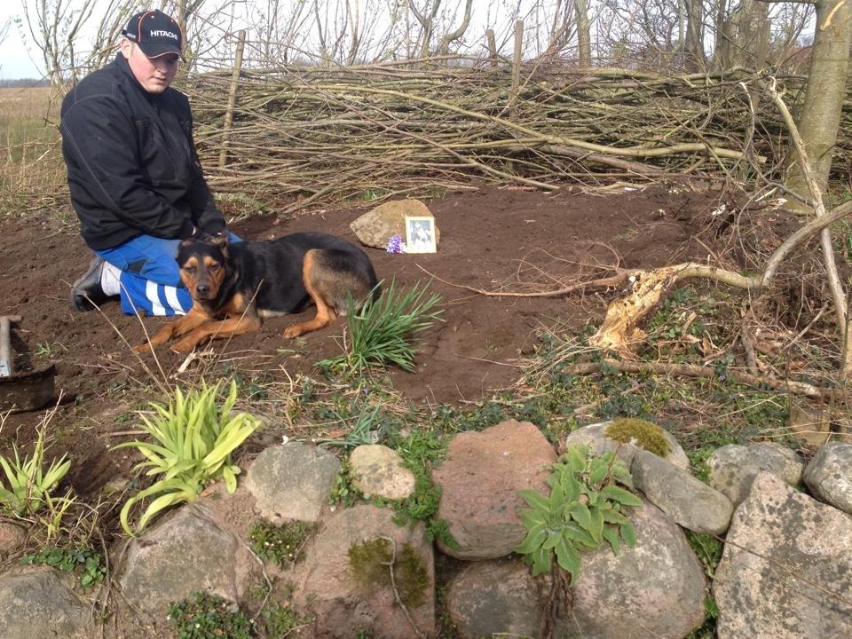 Blanding af racer Maya billede 14