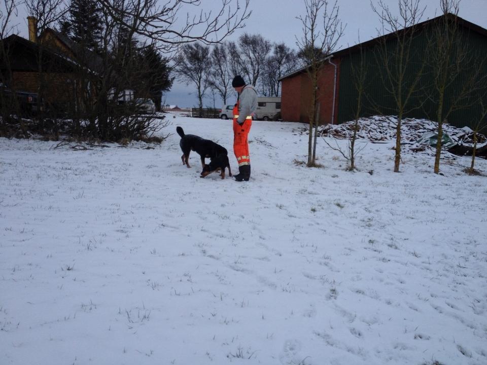 Blanding af racer Maya billede 5