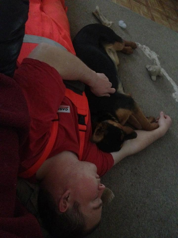 Blanding af racer Maya billede 11