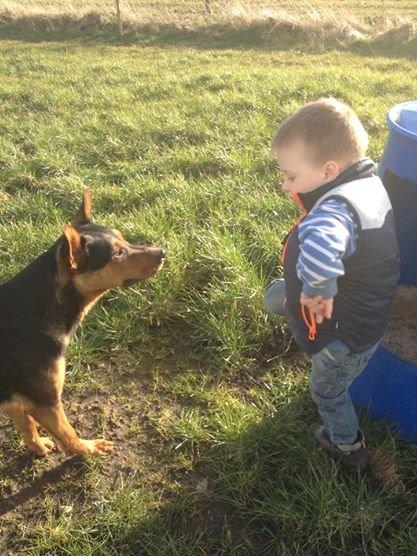 Blanding af racer Maya billede 36