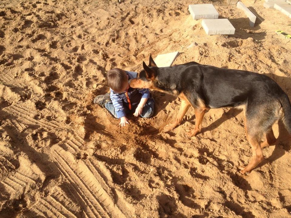 Blanding af racer Maya billede 37