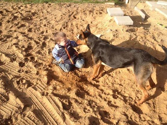 Blanding af racer Maya billede 38