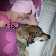 Blanding af racer Misha