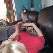 Blanding af racer Misha