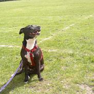 Blanding af racer candy