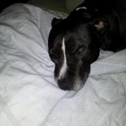 Blanding af racer candy