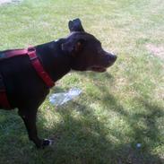 Blanding af racer candy