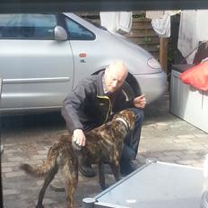 Blanding af racer Fito