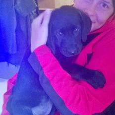 Blanding af racer Nellie