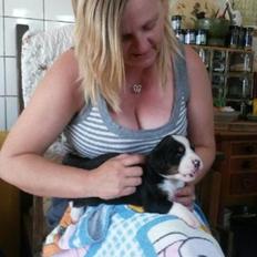 Berner sennenhund Tunala