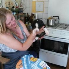 Berner sennenhund Tunala