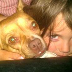 Blanding af racer Grisling