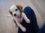 Cavalier king charles spaniel Holsteins Indi