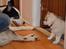 Siberian husky Mesmocan Sunka Yuki - Første møde med Blaze, 5 uger gammel