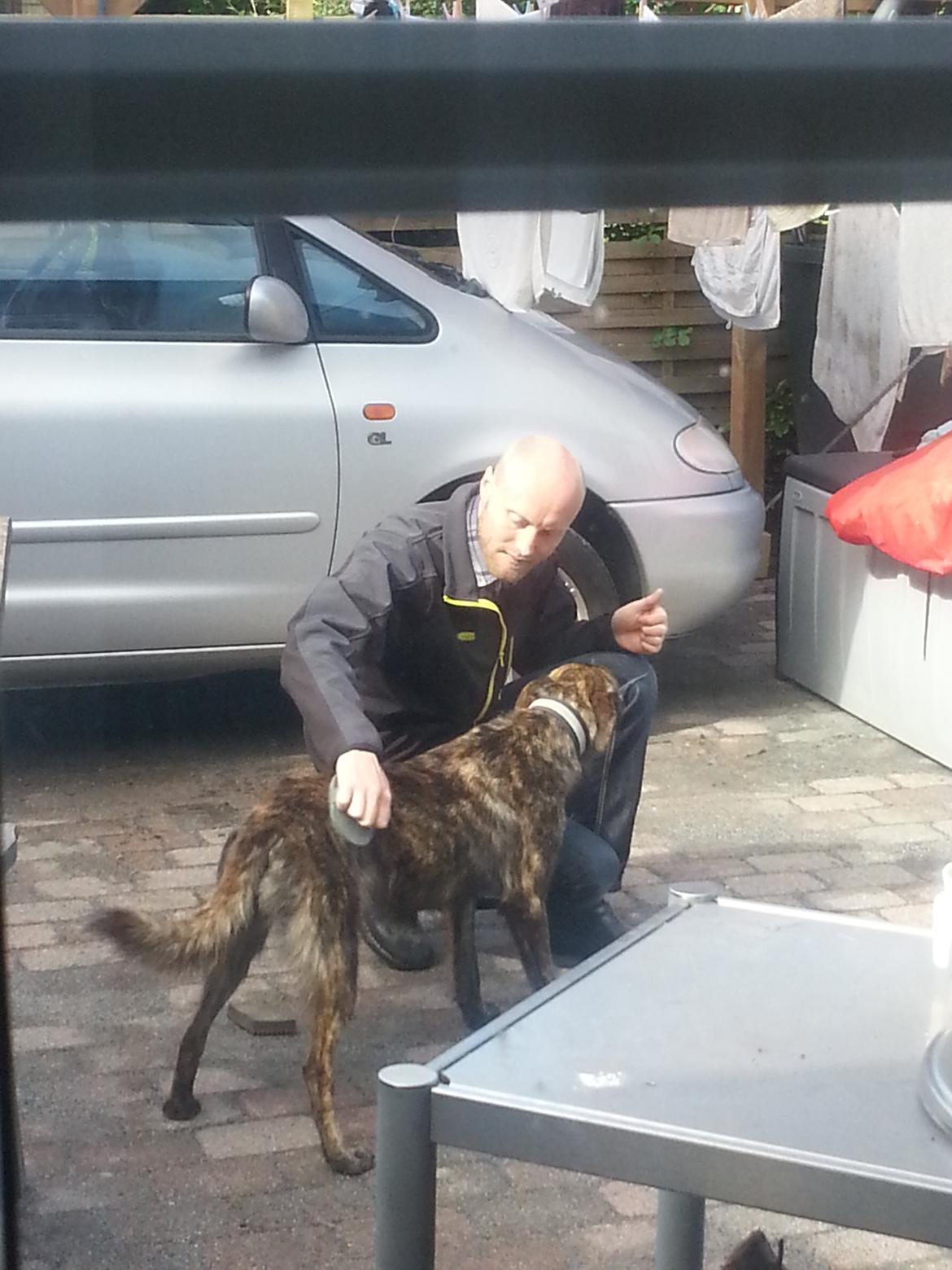 Blanding af racer Fito billede 3