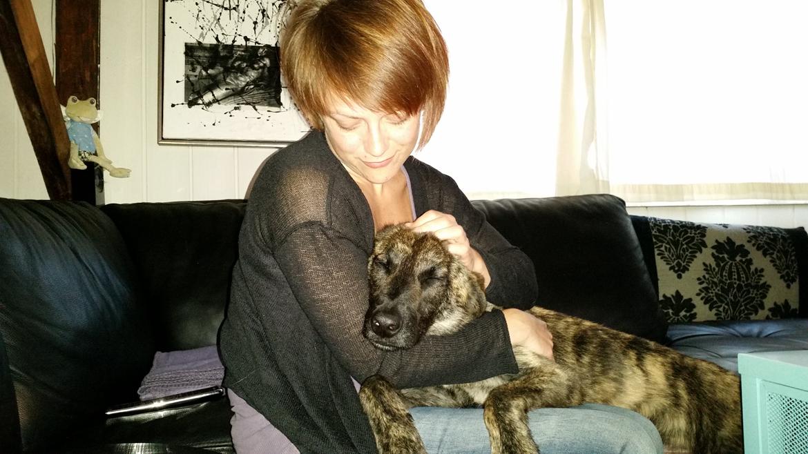 Blanding af racer Fito billede 4