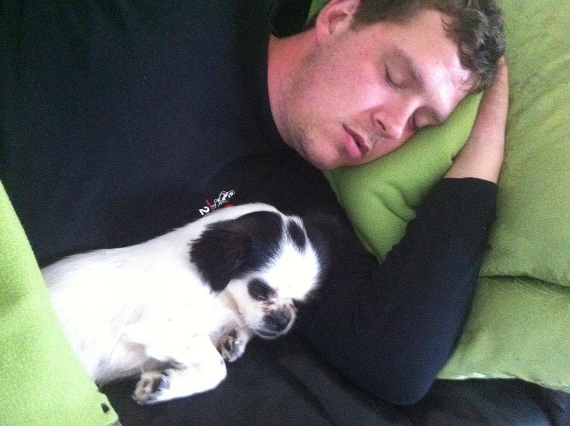 Japanese Bella billede 7