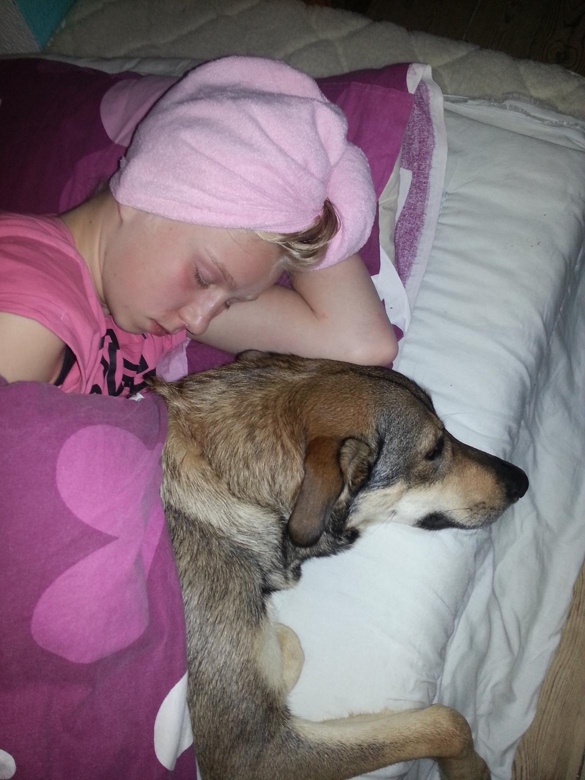 Blanding af racer Misha billede 3