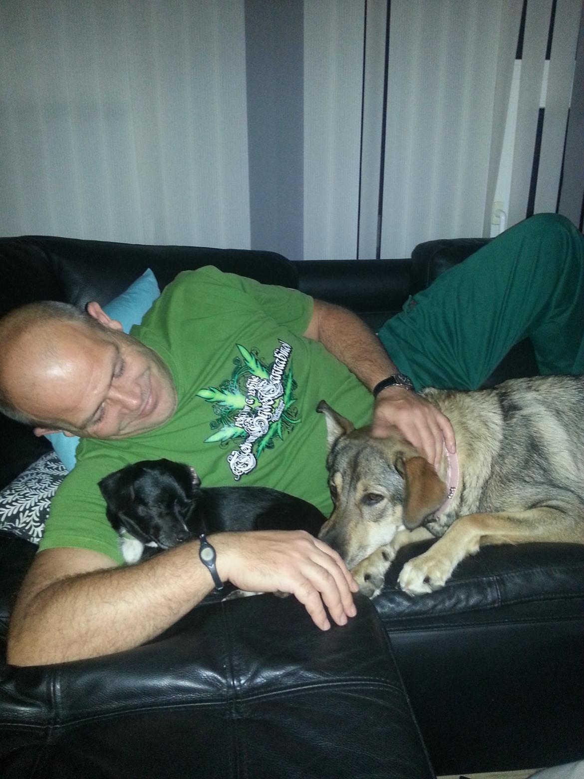 Blanding af racer Misha billede 16