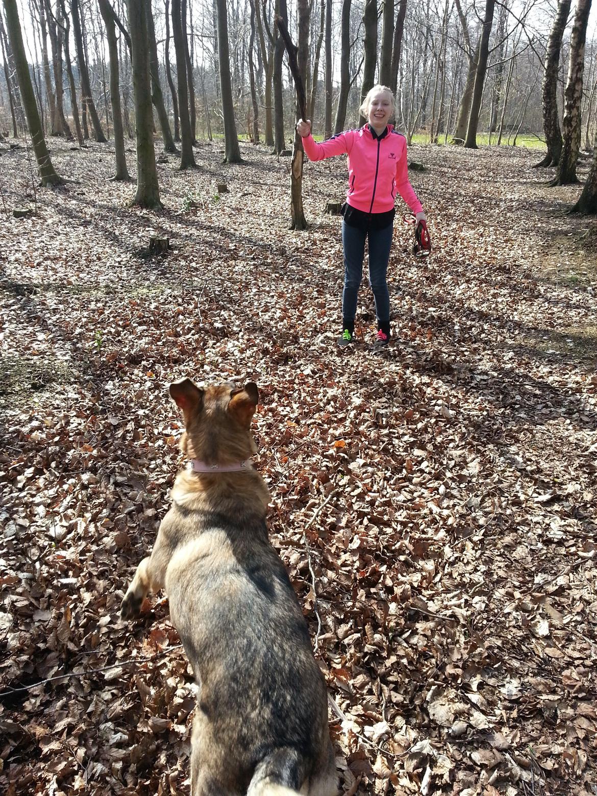 Blanding af racer Misha billede 31