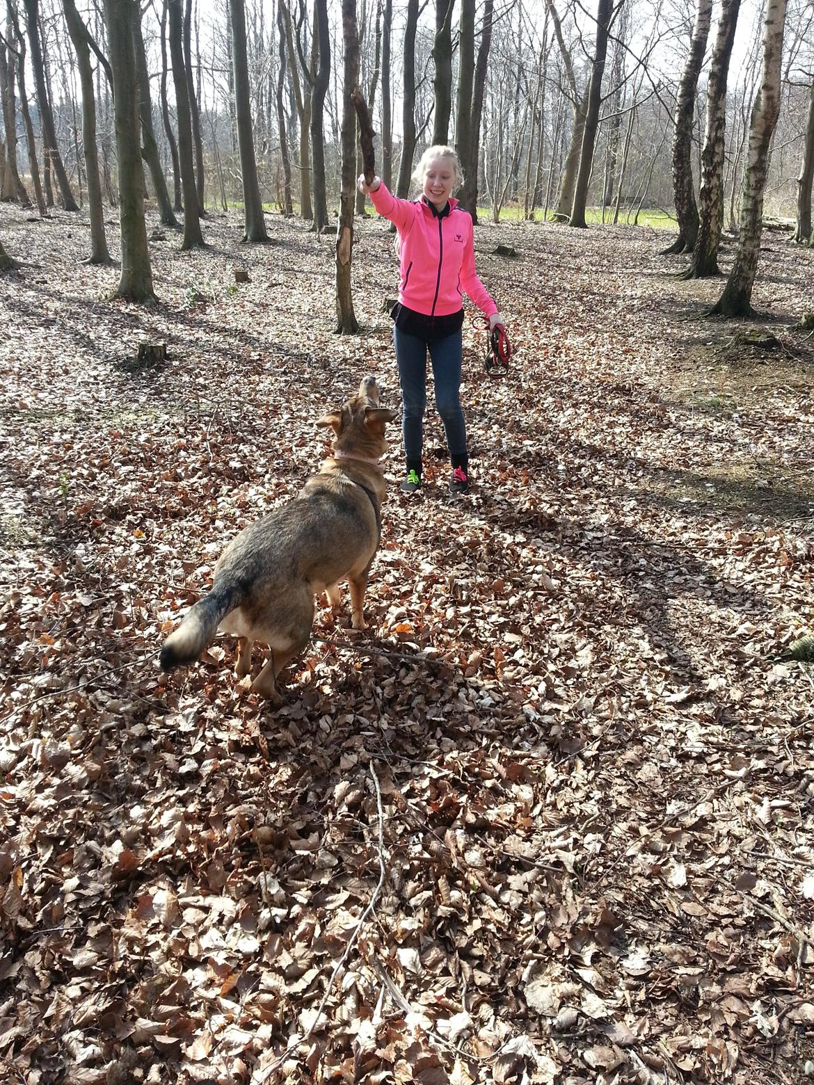 Blanding af racer Misha billede 32