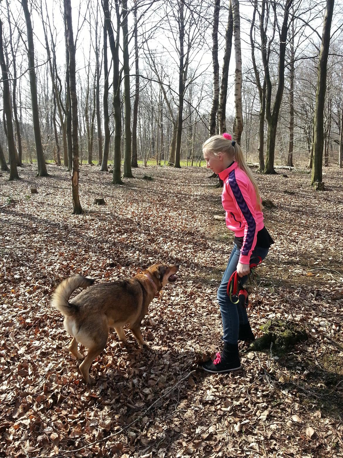 Blanding af racer Misha billede 33