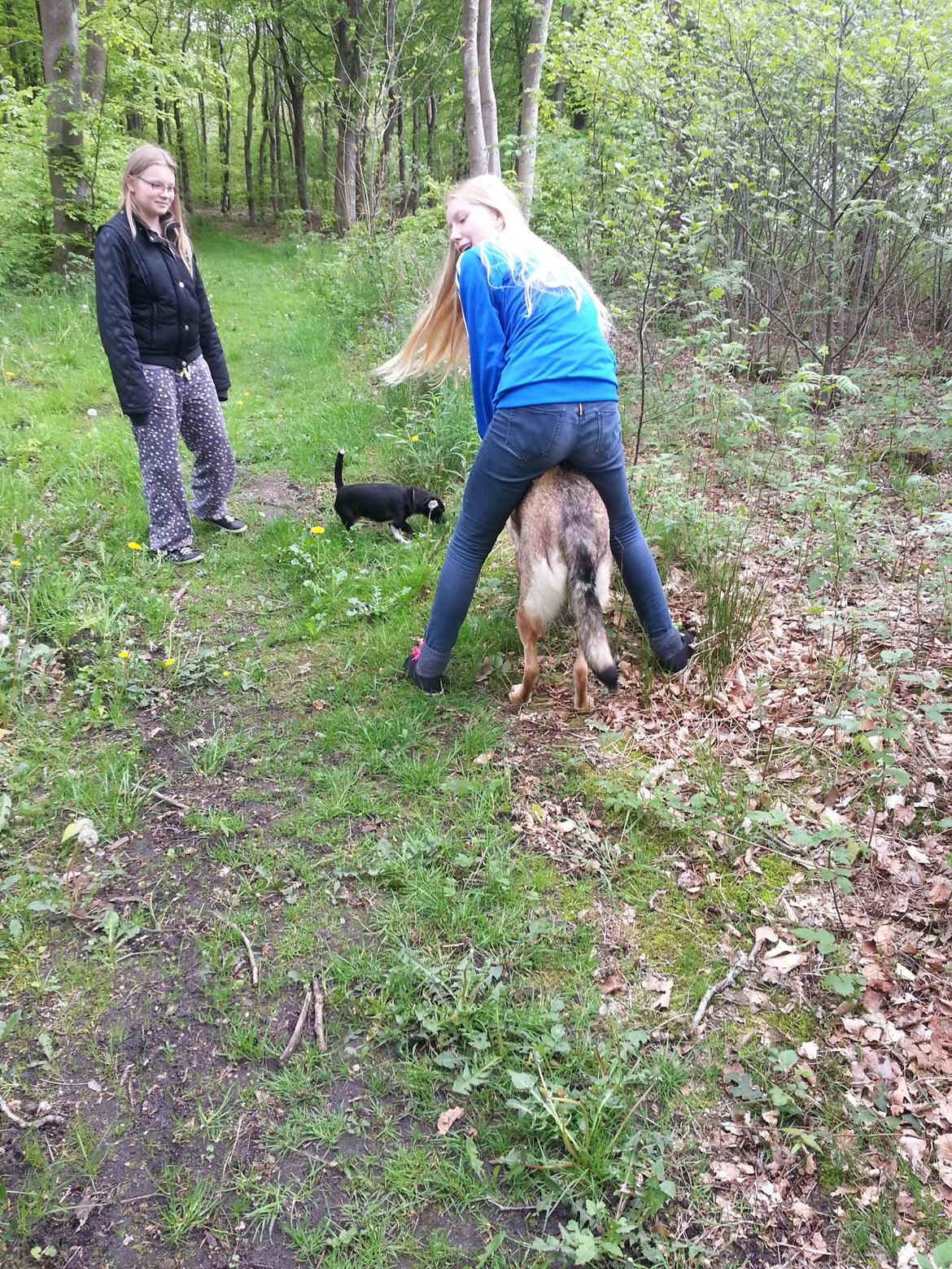 Blanding af racer Misha billede 34