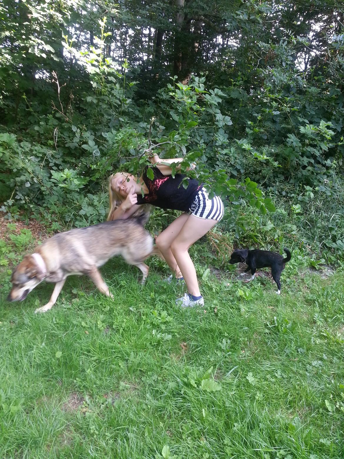 Blanding af racer Misha billede 40