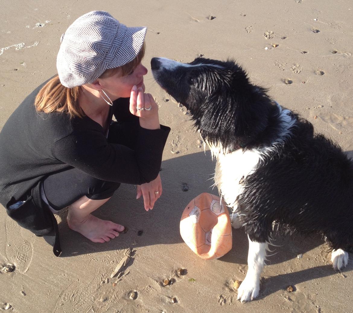 Border collie Balou - Giv mig et møs billede 13