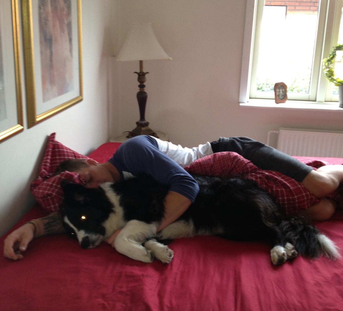 Border collie Balou - Trætte drenge billede 19