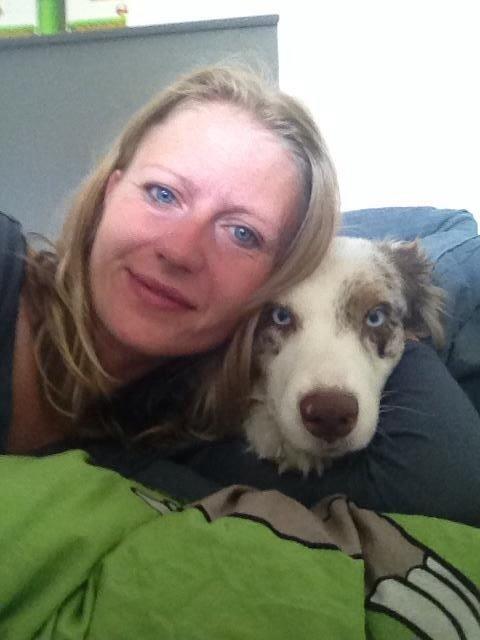 Australian shepherd Petra billede 4