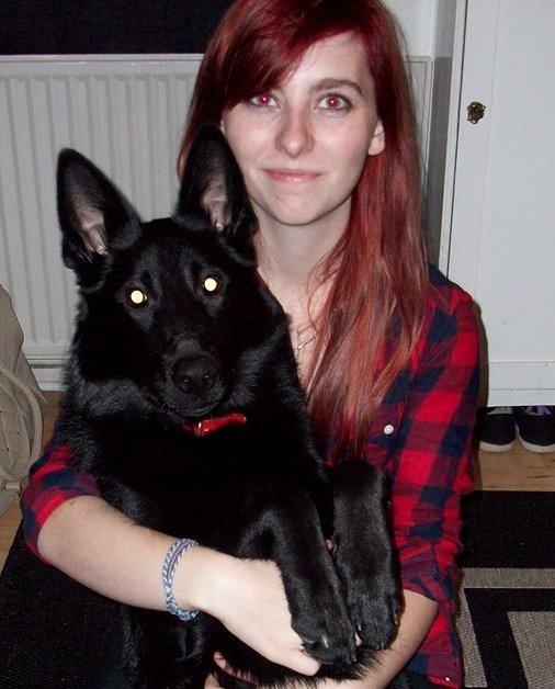 Blanding af racer Kira billede 48