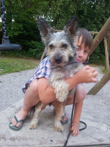 Blanding af racer Jazz (Putte) billede 4