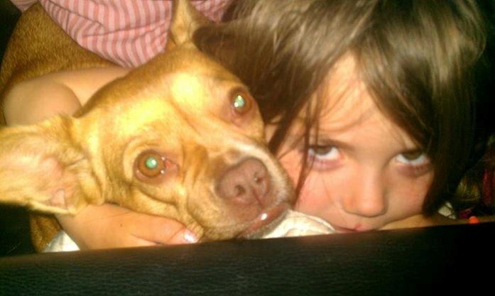 Blanding af racer Grisling billede 3