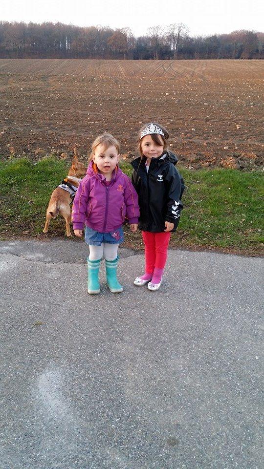 Blanding af racer Grisling billede 5