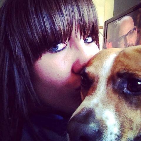 Dansk svensk gaardhund Erling billede 13