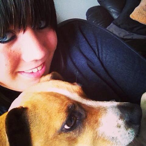 Dansk svensk gaardhund Erling billede 14