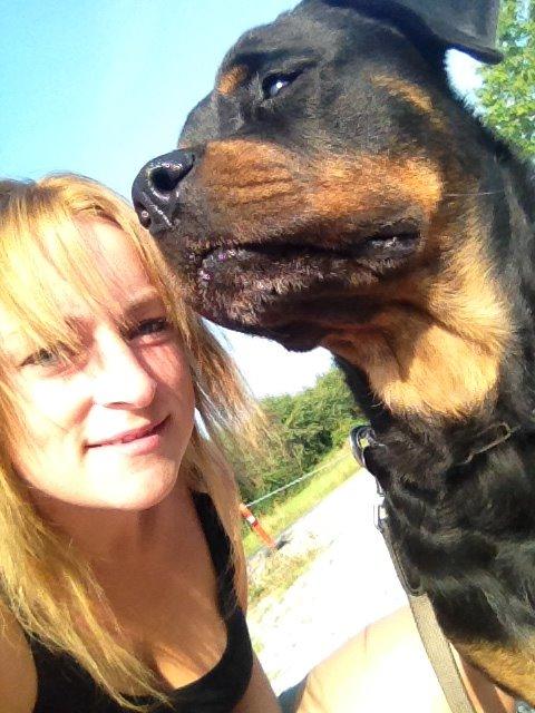 Rottweiler Nica *Himmelhund* billede 39